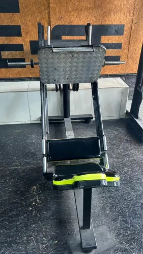 Leg press 45