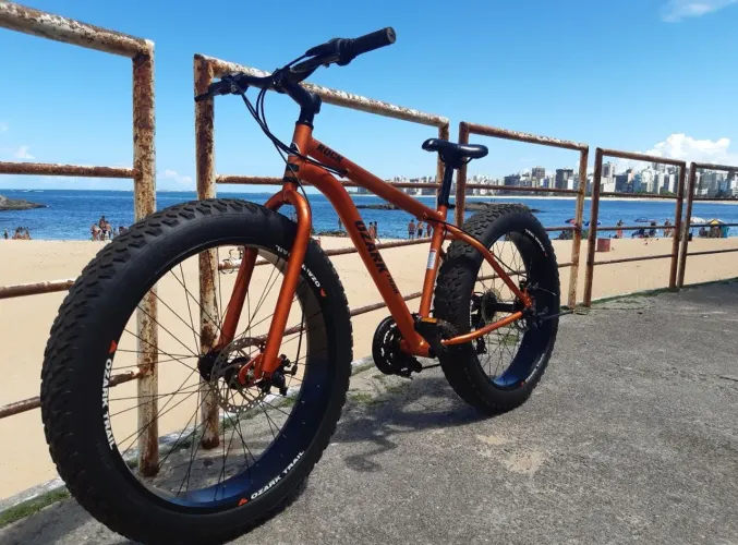 Bicicleta fat bike ozark trail seminova 21v freios disco