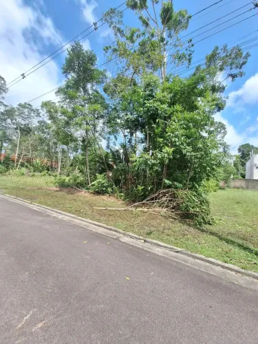 Lote no Alphaville III - Ponta Negra