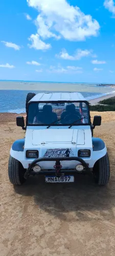 Volkswagen Buggy 1.6 8V Gasolina 2P Manual 1994