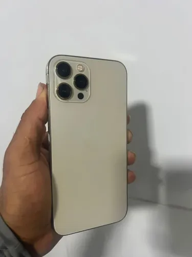 12 pro max dourado