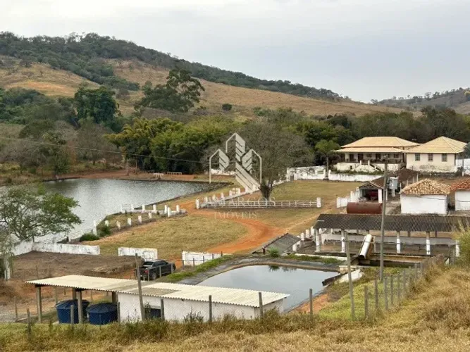 FAZENDA DE CAFÉ E GADO EM BOM SUCESSO - MINAS GERAIS