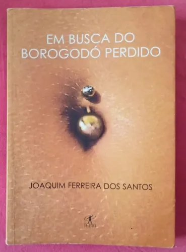 Livro: Em Busca do Borogodó Perdido