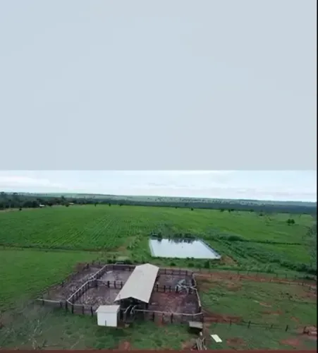 COD527- FAZENDA DE 1816 HECTARES Á VENDA EM MIRANDA/MS