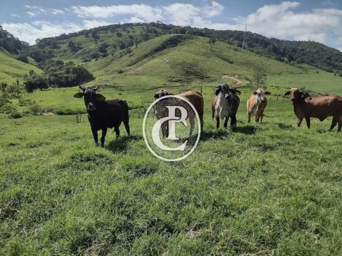Fazenda com 1.936.000 m² e infraestrutura completa em Itamonte/MG.