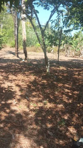 Terreno a venda depois da ponte 4km