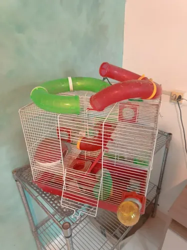 Gaiola 3 andares para hamster (2 unidades)