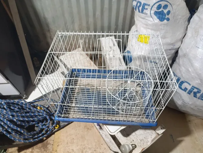 Gaiola para Porquinho-da-Índia em Bom Estado.