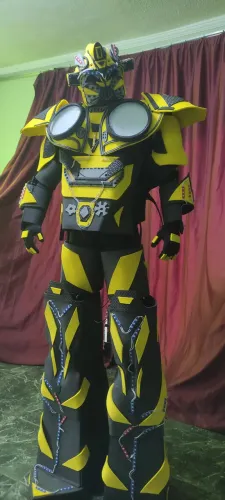 Bumblebee festa
