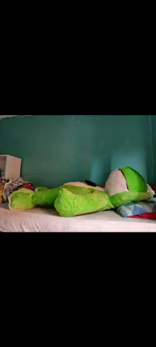 Sapo de pelúcia, muito grande, não  entrego, 100