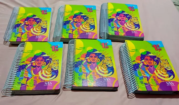 Material SAS 1ª Série Ensino Médio 2024 - Completo - 10 Livros