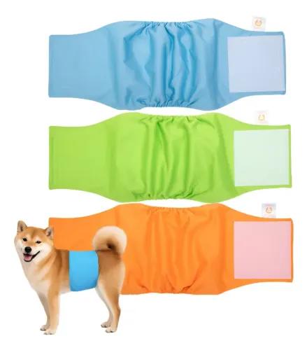 Kit 3 Fraldas Cachorro Macho Reutilizáveis Tam G
