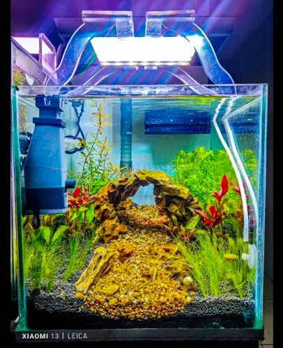 Aquário 30 litros completo.