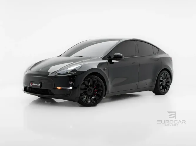 Tesla Model Y Performance 2021