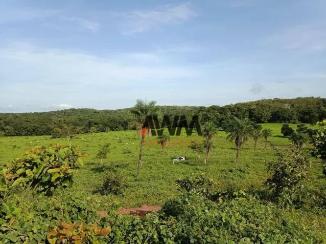 Fazenda à venda, m² por R$ 37.080.000,00 - Centro - Miracema/TO