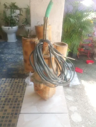 Bomba sapo 