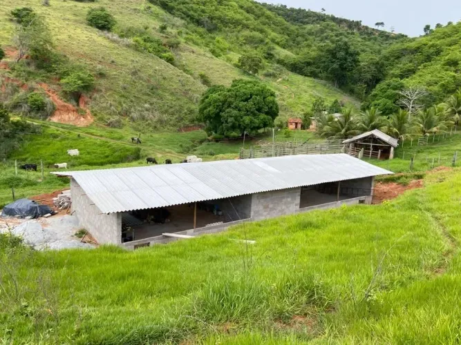 Arrendamento Granja