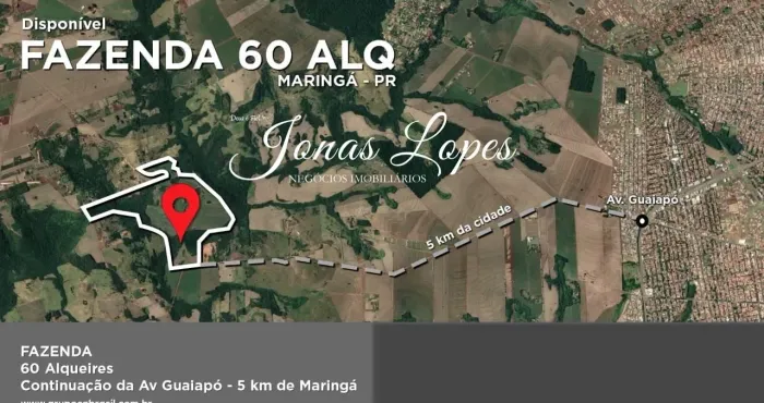 Fazenda 60 Alqueires Município Maringá