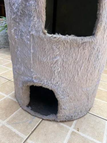 Gato