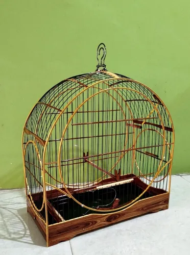 Trabalhamos com gaiolas e todos os modelos