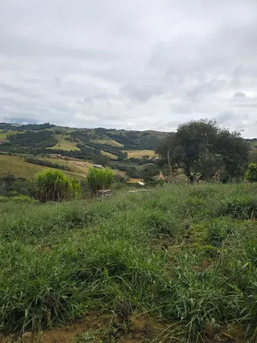 terreno  em Itapeva-MG  com 24 mil metros e nascente