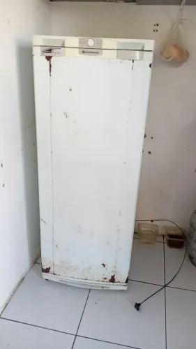 Geladeira simples entrego gratis