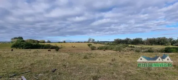 Velleda oferece excelente sítio 4,7 hectares com eterna vista em Viamão, troca apartamento
