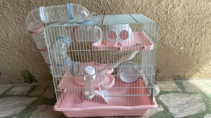 Gaiola Hamster SAFARI gigante Rosa