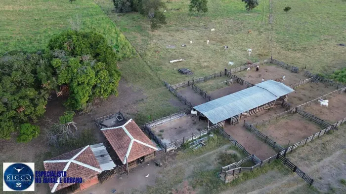 Fazenda à Venda em Diorama GO | 90 Alqueires | Dupla Aptidão