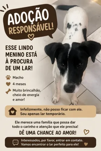 Doação 