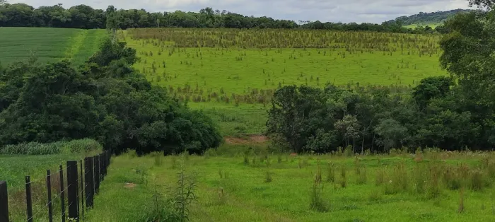 Chácara 2 Alqueires, Água Corrente no Fundo da Propriedade, Fácil Acesso, Casa Simples com
