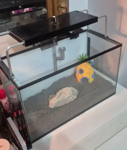 Aquário de vidro 20 litros com acessórios