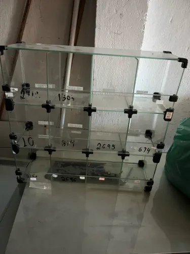 Expositor de balas