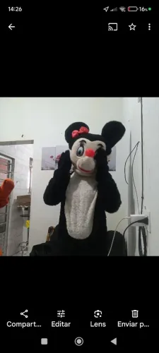 Fantasia da Minnie e do tigrinho