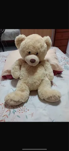 Urso