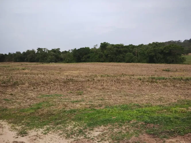 SÍTIO A VENDA EM ANGATUBA-SP Área Total: 32,91 Hectares ou 13,6 Alqueires 10 Alqueires de 