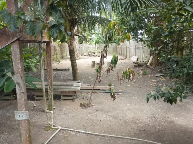 TERRENO COM CASA