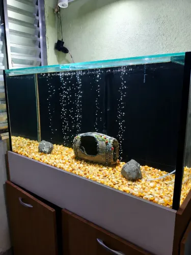Aquário.