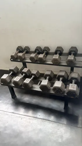 Kit Dumbells 12 ao 32