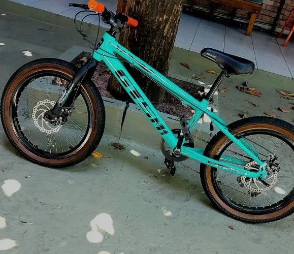 Bicicleta GRSM1