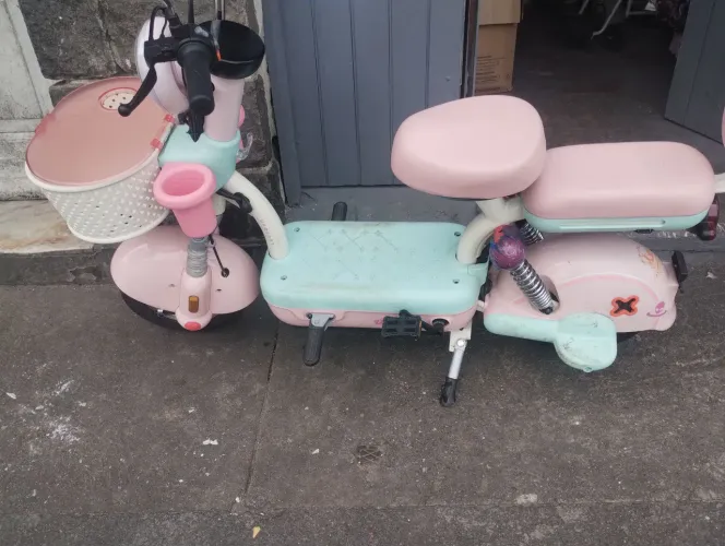 Moto elétrica