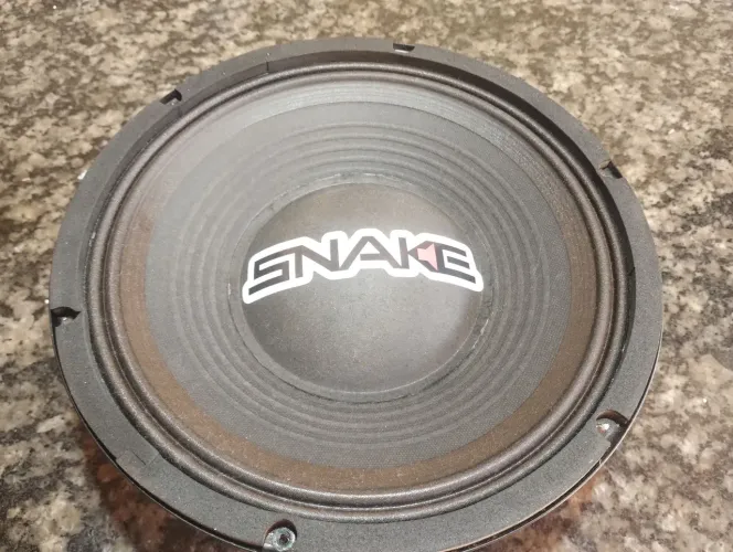 Alto falante 10 olegadas 300 Watts Snake