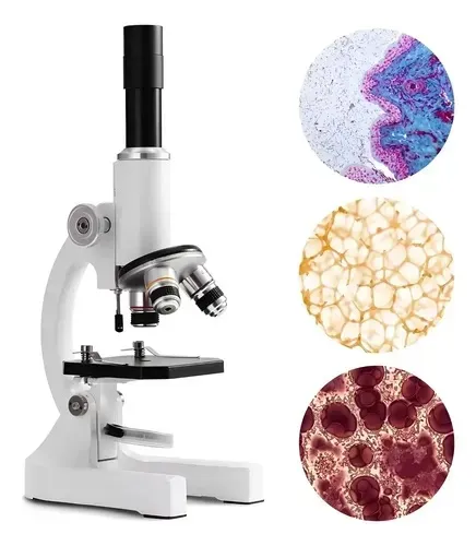 Microscópio monocular 2400X