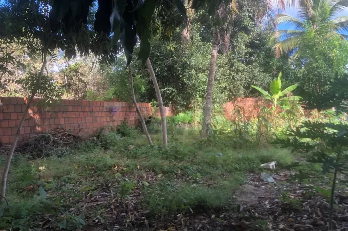 Terreno 12 x 25 - Caiçara - Preá - Pronto para Construir