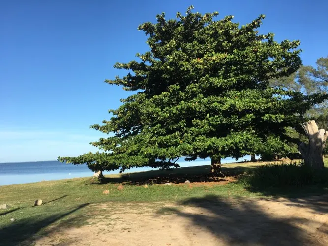Fim de semana São pedro da Aldeia 