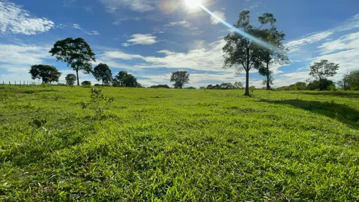 Vende-Se 13 alqueires em Trindade-GO
