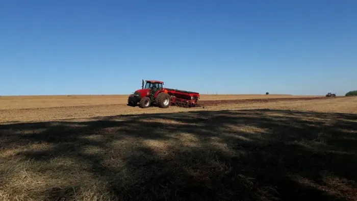 Fazenda 312 alqueiro 278 plantado