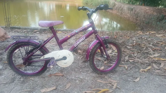 Bicicleta Infantil Caiu' - Rosa