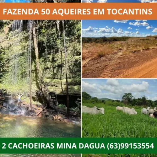 Fazenda, Terra, Lavoura, Platanção, Soja, Cana, Canavial, Cercada, Chacara, Chácara, Roça 