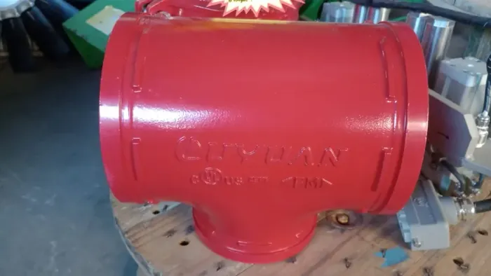 Ranhurado 300 PSI ferro fundido (XGQT13)